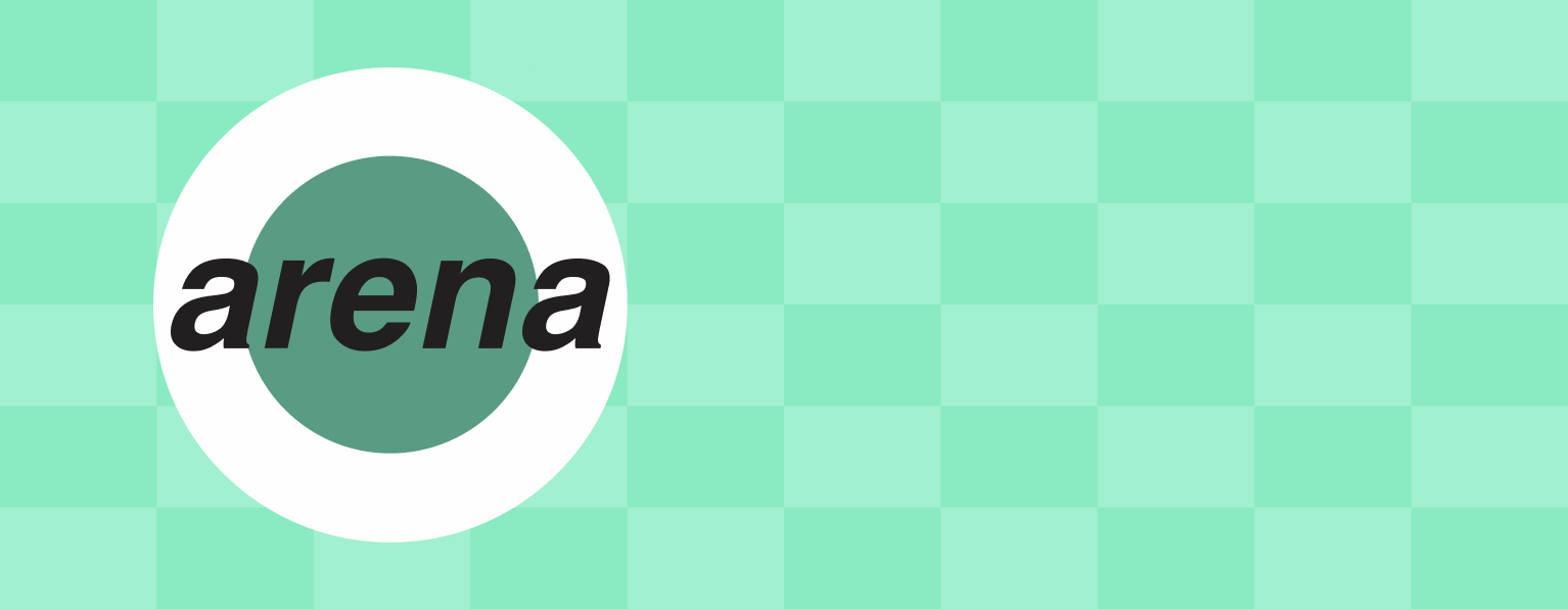 Arena Embroidery Inc — website and IT environment